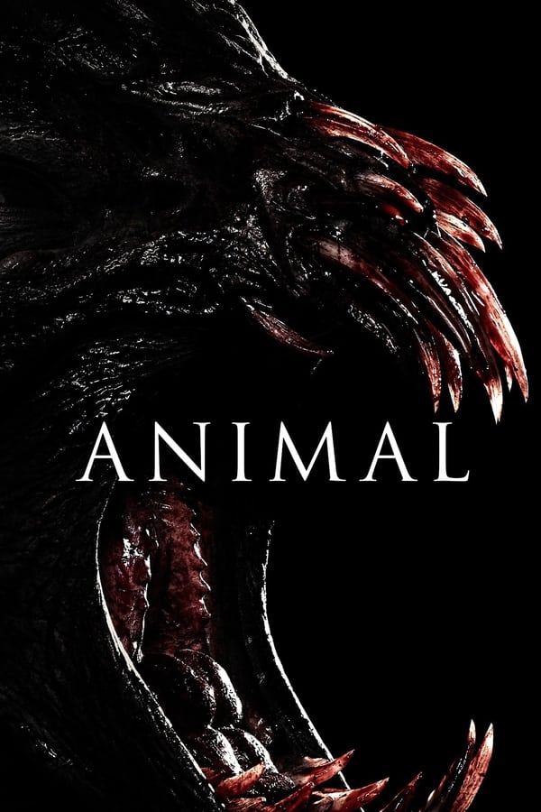 Animal...