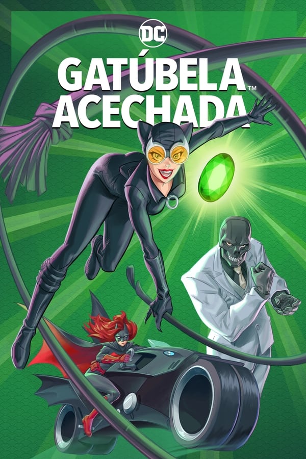 Catwoman: La caza...