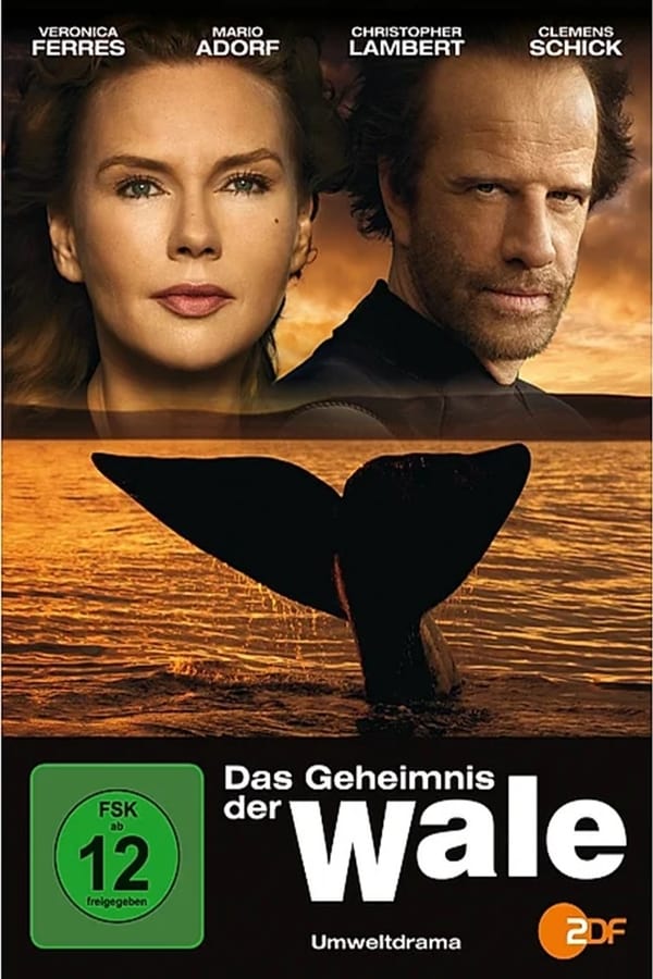 El secreto de las ballenas...