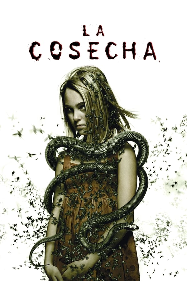 La cosecha...