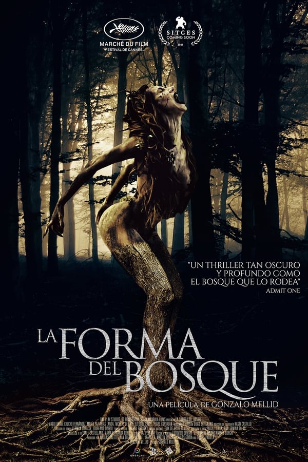 La forma del bosque...