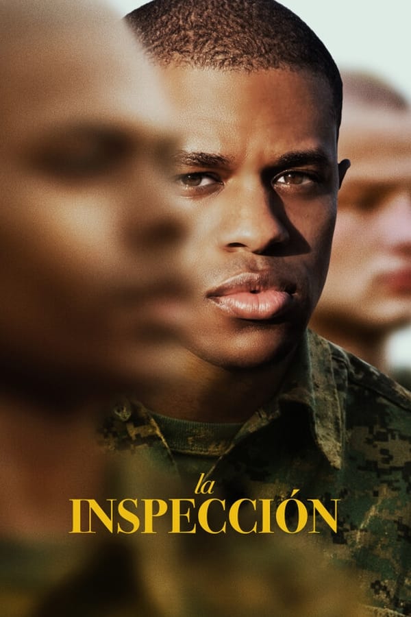 La inspección...