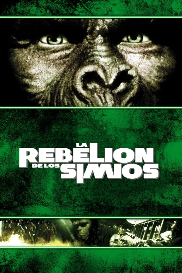 La rebelión de los simios...