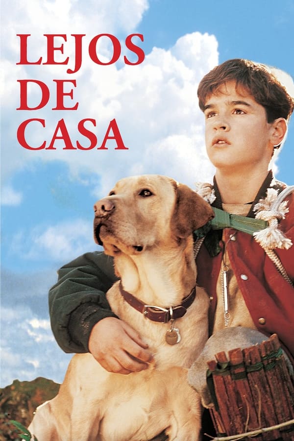 Lejos de casa...