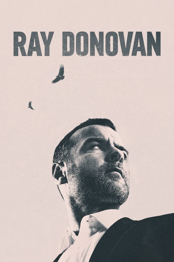 Ray Donovan, la película...