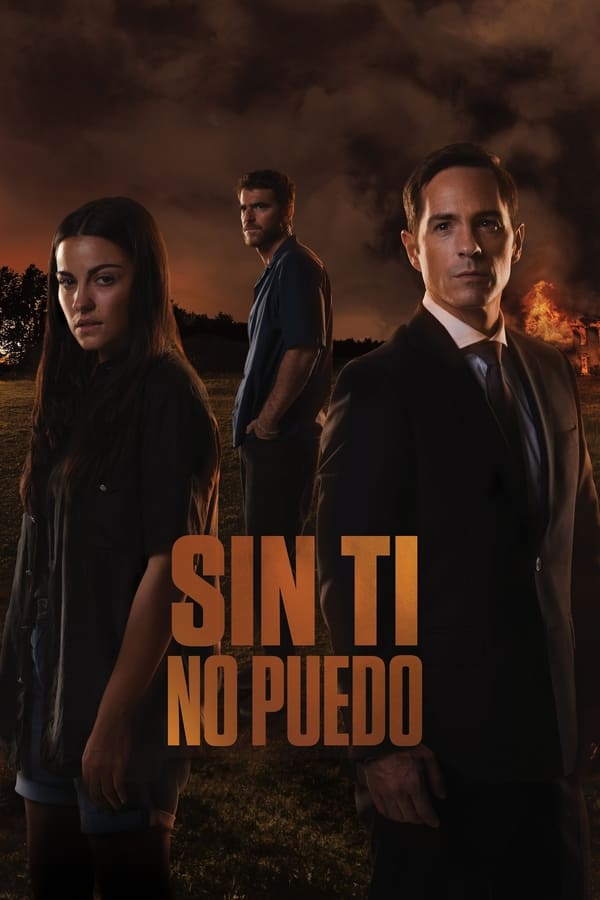 Sin ti no puedo...