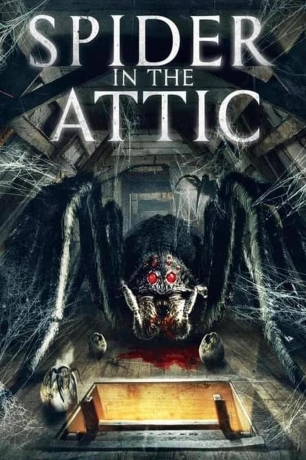 Spider in the Attic...