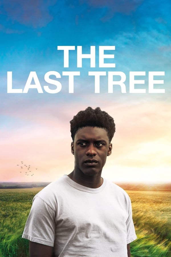 The Last Tree...