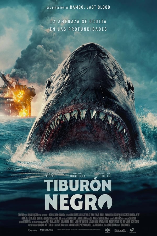 Tiburón negro...