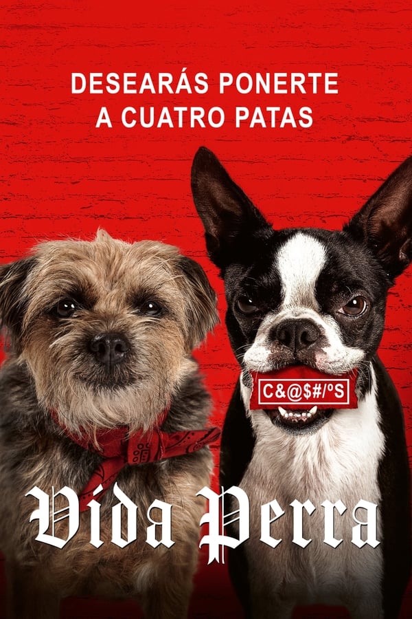 Vida perra...